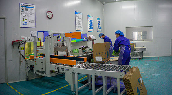 Nanning Doing-higher Bio-Tech Co.,LTD