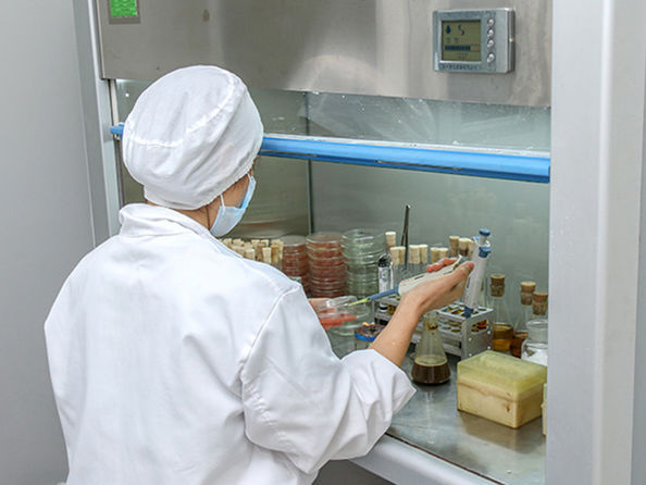 Nanning Doing-higher Bio-Tech Co.,LTD