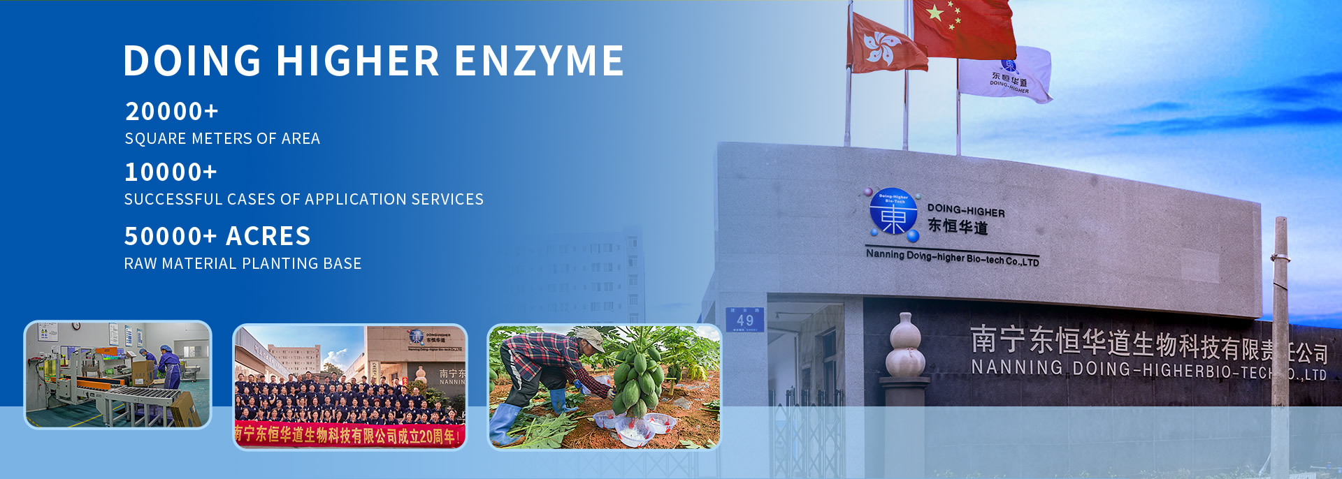 quality Protease factory