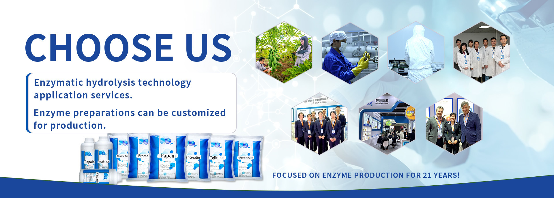 quality Protease factory