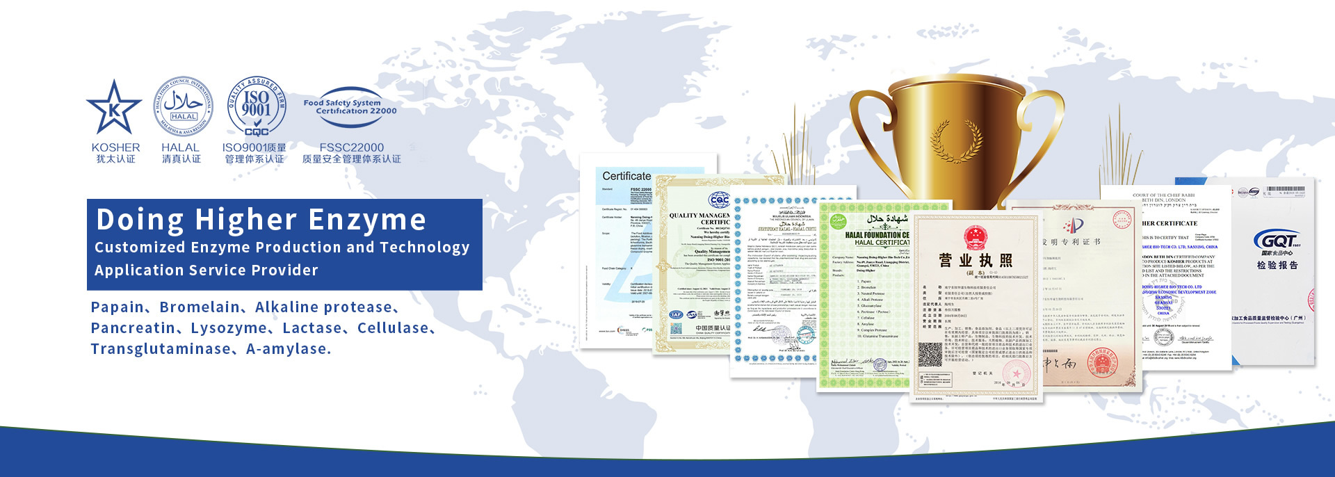 quality Protease factory