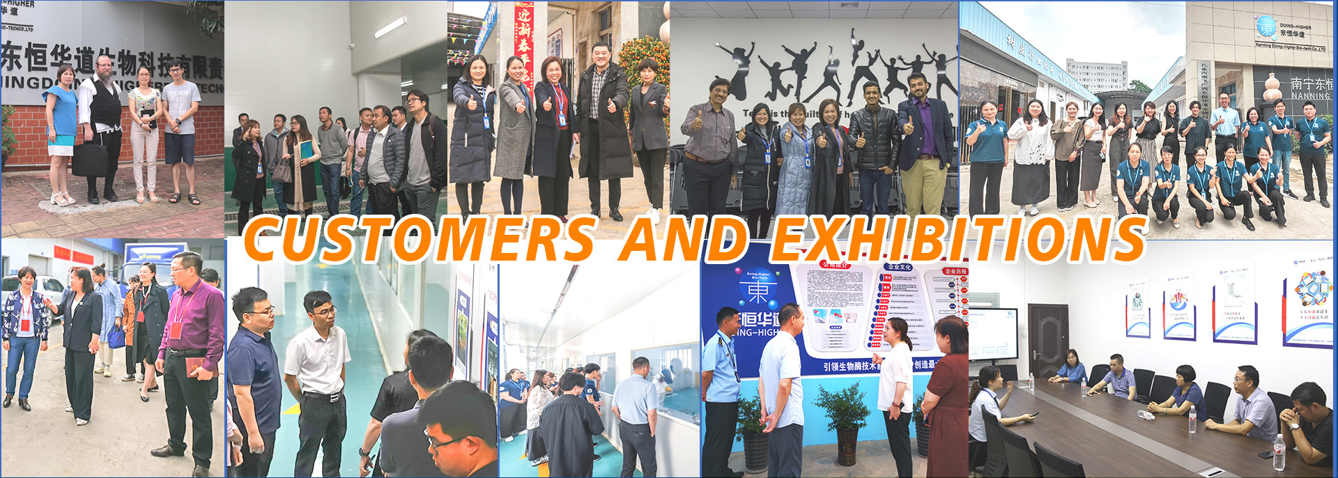 quality Protease factory