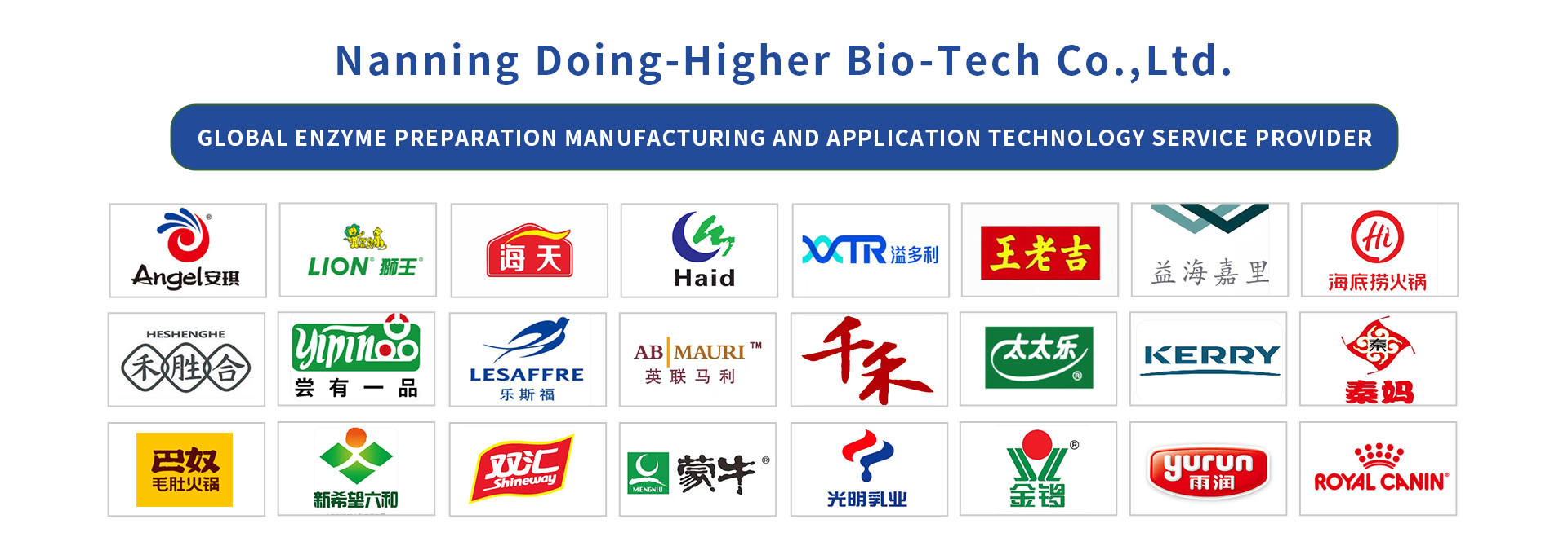 quality Protease factory