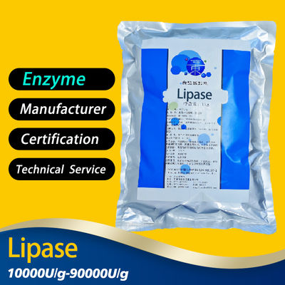Light White Powder Lipases Enzymes 10000U/G-90000U/G Lipase Digestive Enzymes