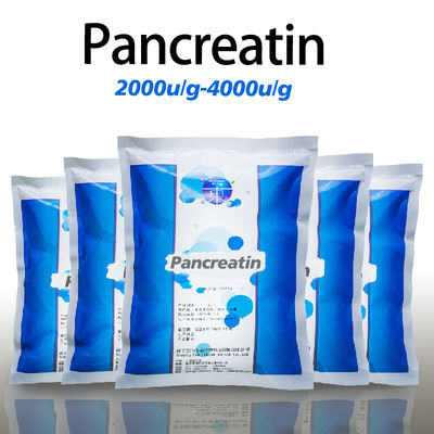 Pancreatin 10x 6x Raw Materials Customized Enzyme Activity Specifications