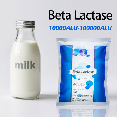 Customized Beta Lactase Low Sensitivity Milk Processing White Powder Like
