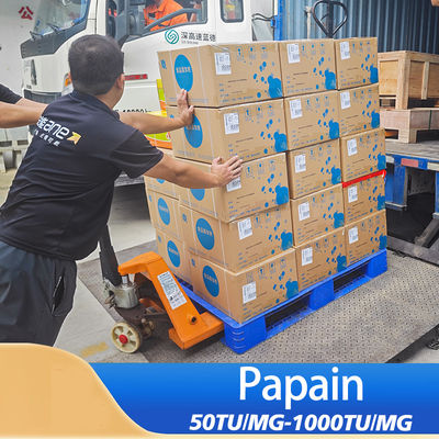 papaya protease 50TU/MG-1000TU/MG Protease manufacturers customized product grades colony grades