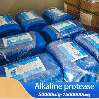Customized Protease Enzyme Detergent 2.5L Alkaline Protease Soluble In Water