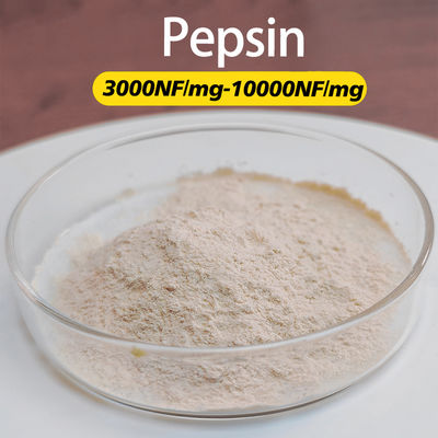 Pepsin Enzyme 3000NF/Mg Pepsin Manufacturers Customized Food Grade Pharmaceutical Grade