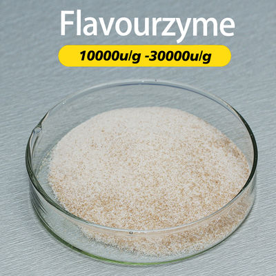Hydrolysis To Remove Bitterness Flavourzyme Enzyme Used For Food Processing
