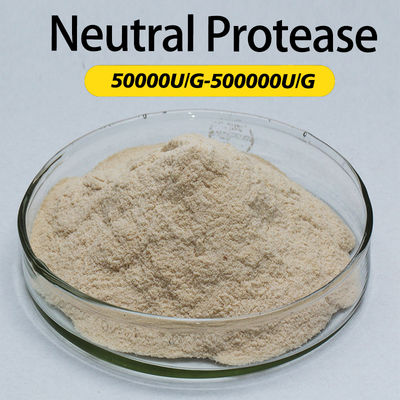 Customized Protease In Baking 50000U/G-500000U/G Flour Gluten Reduction