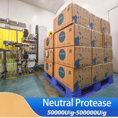 neutral protease 500000U/g Used for protein feed and medicine providing enzyme preparation sample