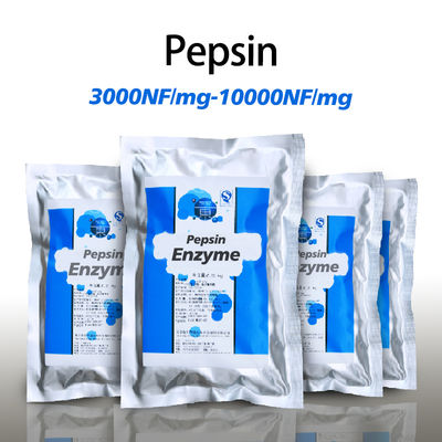 Food Grade Stomach Enzyme Pepsin 3000NF/Mg-10000NF/Mg Powder Like