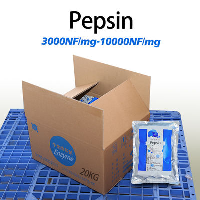10000NF/Mg Acid Pepsin FSSC22000 Customized Enzyme Activity Pepsin Powder