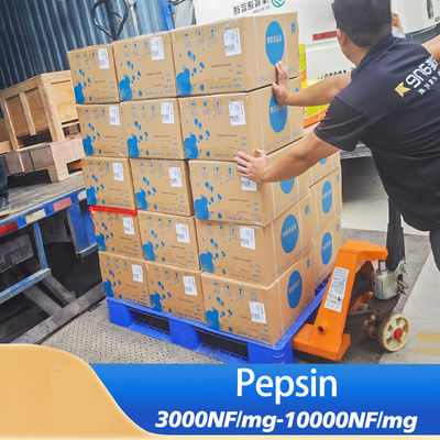 Feed And Medicine Pepsin Enzyme 3000NF/Mg Light Yellow Powder