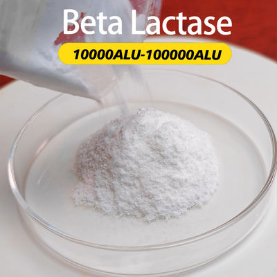 Beta Lactase Dairy Digestive Enzymes 100000ALU Providing Enzyme Preparation Sample Minimum Order 1kg