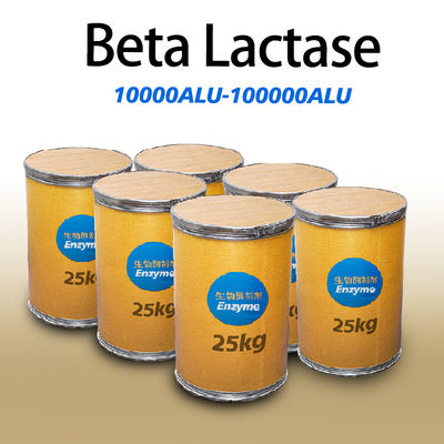 Dairy Digestive Enzymes 10000ALU-100000ALU Beta Lactase White Powder