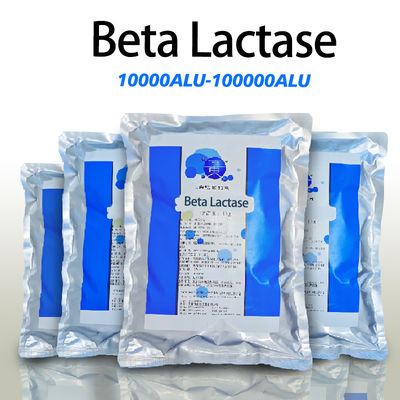 Water Soluble Beta Lactase Enzyme In Food 10000ALU-100000ALU Powder Like