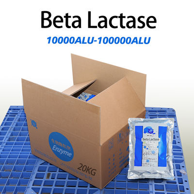 White Powder Like Beta Lactase Enzyme In Milk 10000ALU-100000ALU