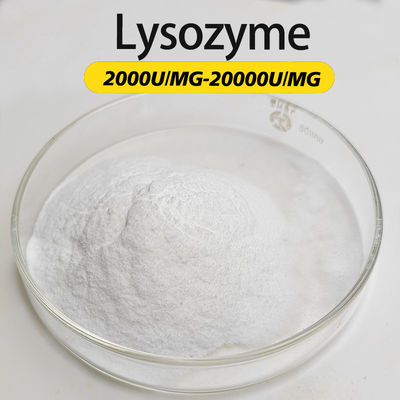 Lysozyme Enzyme 20000U/MG FSSC22000 MUI Kosher System Certification Customizing Enzyme Activity Specifications