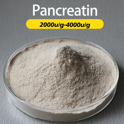 Customized Pancreatin Enzyme Food Grade From Pig Pancreas Source