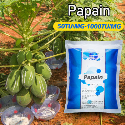 White Original Papaya Enzyme Powder 50TU/MG-1000TU/MG Origin Of Papaya Cultivation