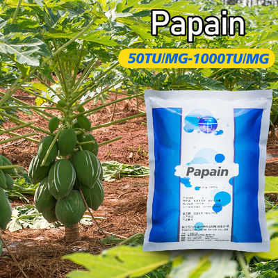 Organic Papaya Enzyme 50TU/MG-1000TU/M Powder Like Fully Soluble In Water Customized Food Grade&pharmaceutical Grade