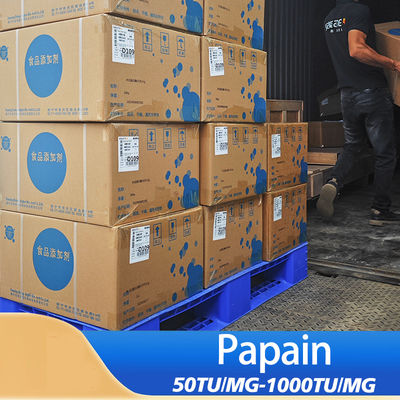 Gluten Protease 2400000U/G For Flour Gluten Reduction Bread Baking Production