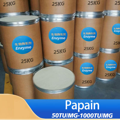 Now Foods Papaya Enzyme 50TU/MG-1000TU/MG Customized Food Grade & Pharmaceutical Grade