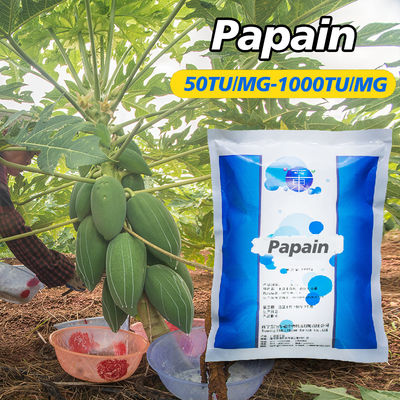 Optimal Temperature 50-55 C Papain Protease 300USP-6000USP Customized Enzyme Activity Specifications