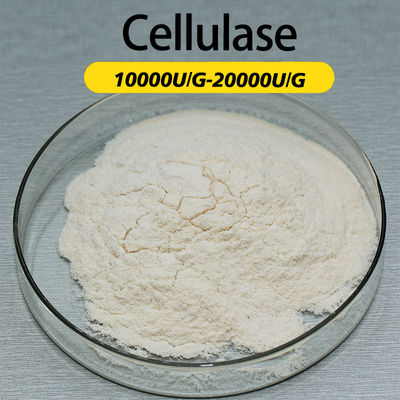 Cellulase Enzyme 10000U/G  Enzyme Preparation Sample Testing Enzymatic Hydrolysis Technology Guidance