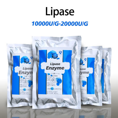 enzyme that breaks down fats 20000U/G providing enzyme preparation sample and customizing enzyme activity specifications
