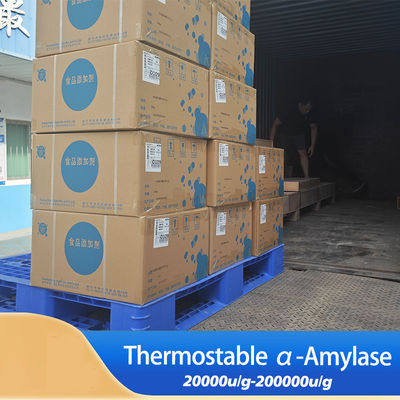 thermostable alpha amylase 200000u/G Alpha Amylase Protease manufacturer providing enzyme preparation sample