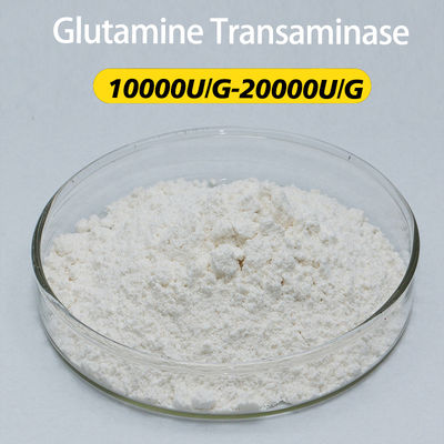 Food Grade Transglutaminase Enzyme 1000U/G Providing Enzyme Preparation Sample Minimum Order 1kg