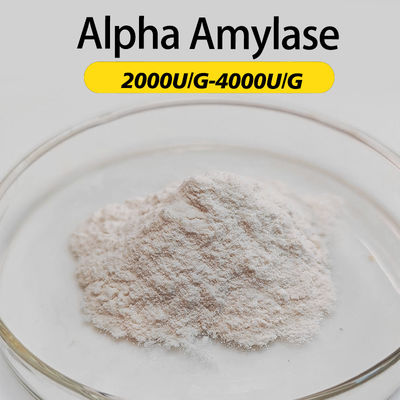 4000U/G Alpha Amylase Enzyme Powder Like Fully Soluble In Water Minimum Order 1kg