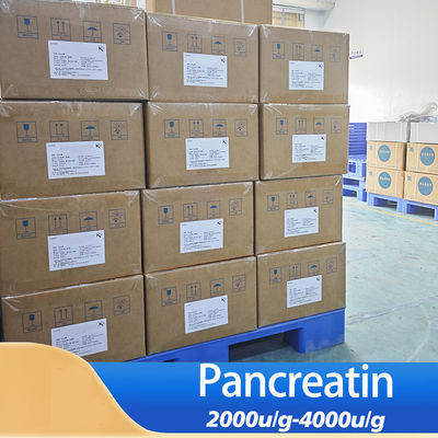 Pancreatin from pig pancrease 8049-47-6 fully Soluble In Water Customized Food Grade