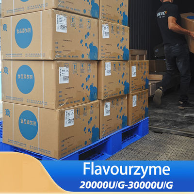 Flavourzyme Food-Grade Enzyme application in protein hydrolysis