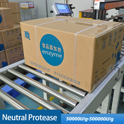 Neutral protease in baking increasing bread volume and delaying aging customizing enzyme activity specifications