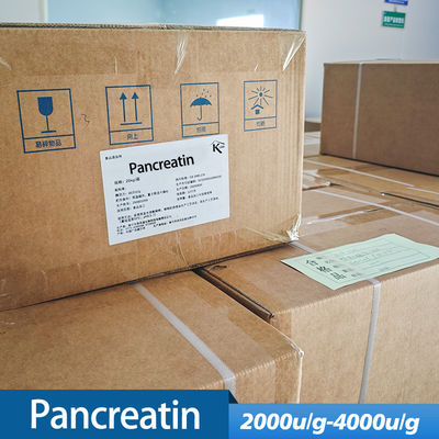 proteolytic enzymes in pancreatic juice use in industry of pharmaceutical food