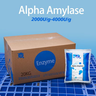 Application of Alpha Amylase powder in Baking starch sugar and feed