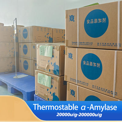 thermostable alpha amylase use in brewing Starch processing fermentation and feed