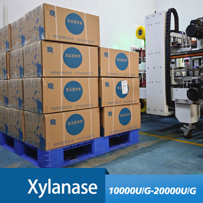 Application of xylanase enzyme use in food bread baking and feed production