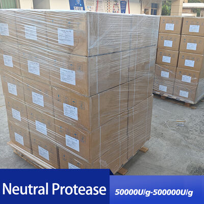 Neutral protease Enzyme 9001-92-7 Food Grade  providing enzyme preparation sample