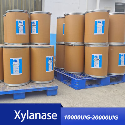 Xylanase in food is applied to bread baking customized food grade&feed grade
