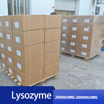 Lysozyme extracted from egg white use in industry of medicine and food