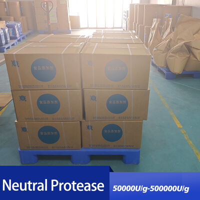 Neutral Protease for food customized food grade&pharmaceutical grade