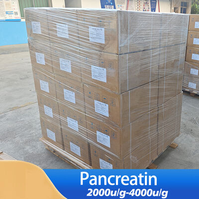 pancreatin 10x use in industry of pharmaceutical and food Customized enzyme preparation activity