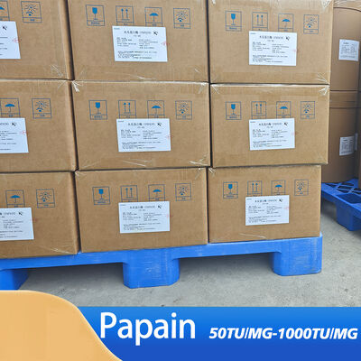 carica papaya proteolytic enzymes 6000USP use in industry of food medicine