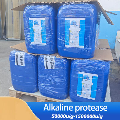 Bulk Alkaline Protease Customized food grade&industrial grade