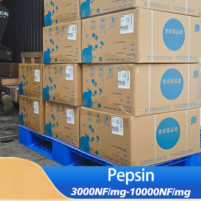 protease pepsina 10000NF/mg use in industry of  Food Processing and Pharmaceutical